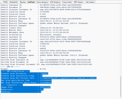 Jeffery Epstein Jail Video Forensic Analysis - Garrett Discovery
